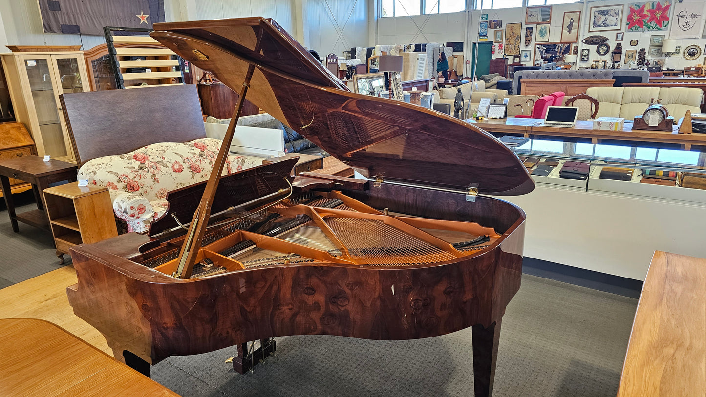 Schimmel Konzert Grand Piano, K-169 - Burr Walnut Polish